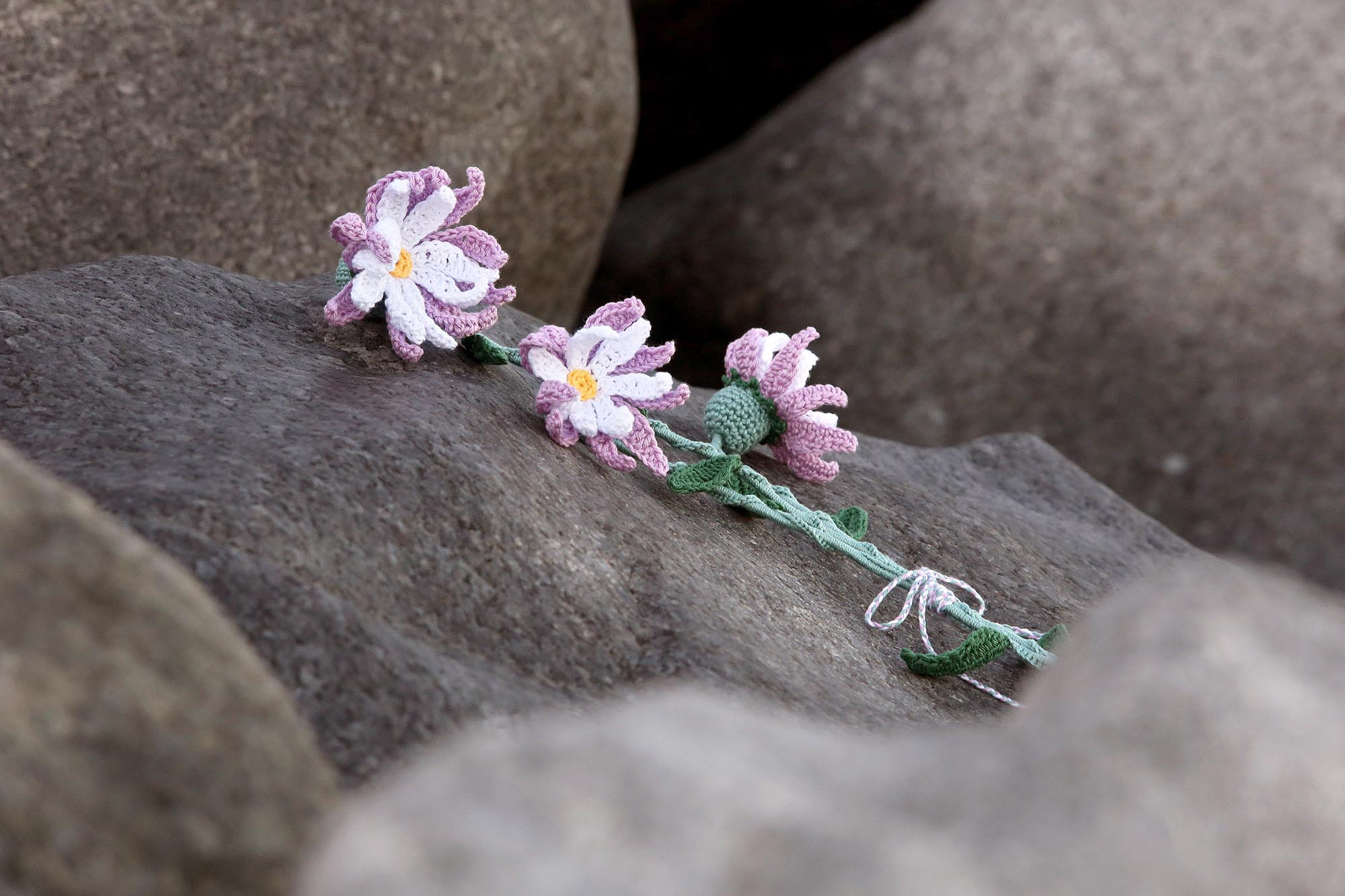 Haakster van Nederland Winnaar Winnares Linda Modderman 2018 Haakpatroon